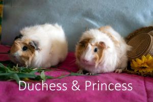 Duchess & Princess