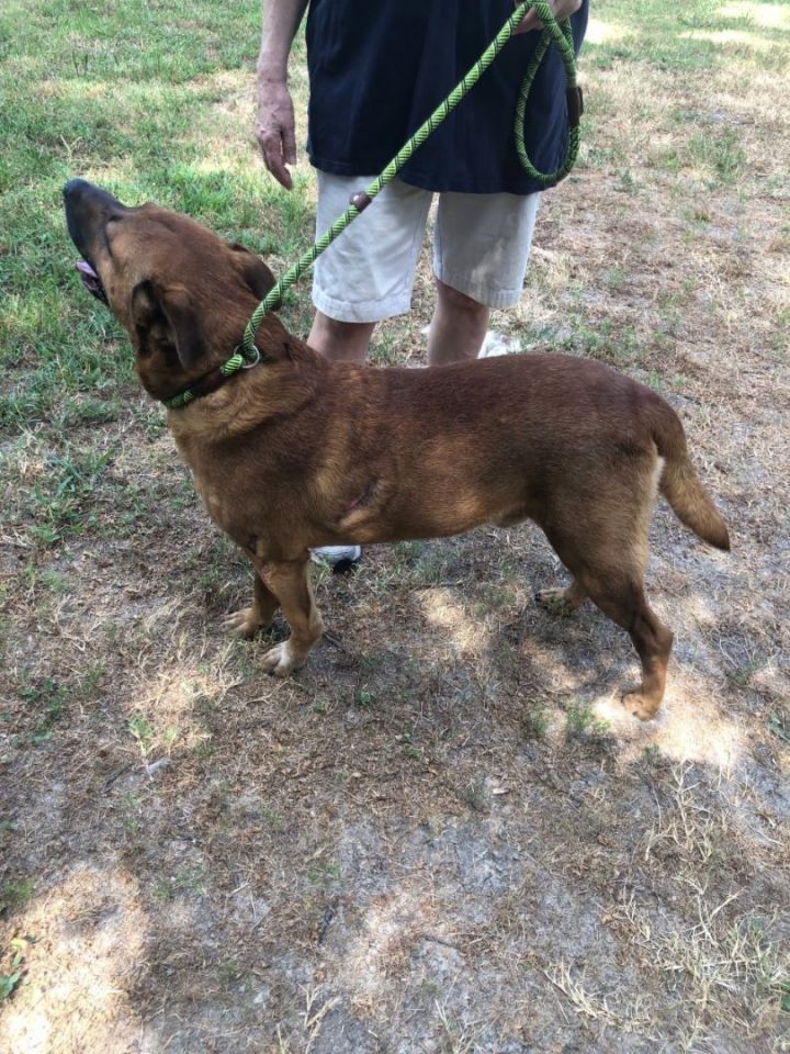 Buster 5