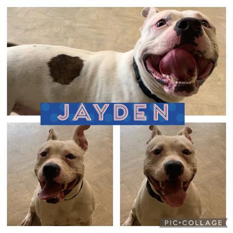 JAYDEN