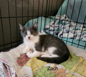 Zack