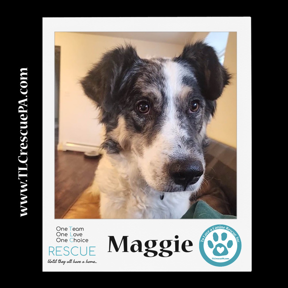 Maggie (Mom to Maggie's Muffins) 082722