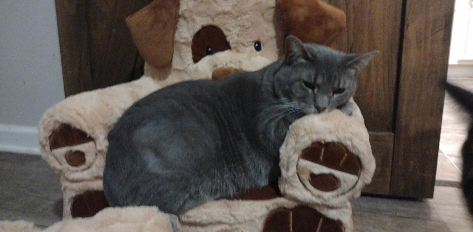 Carlita