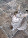 Carlita photo 3