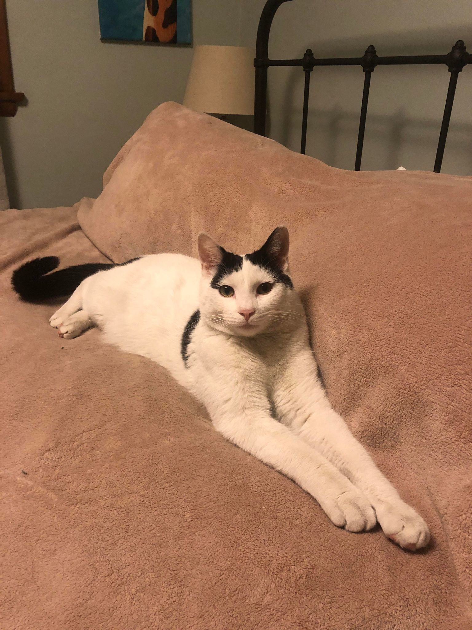Oscar