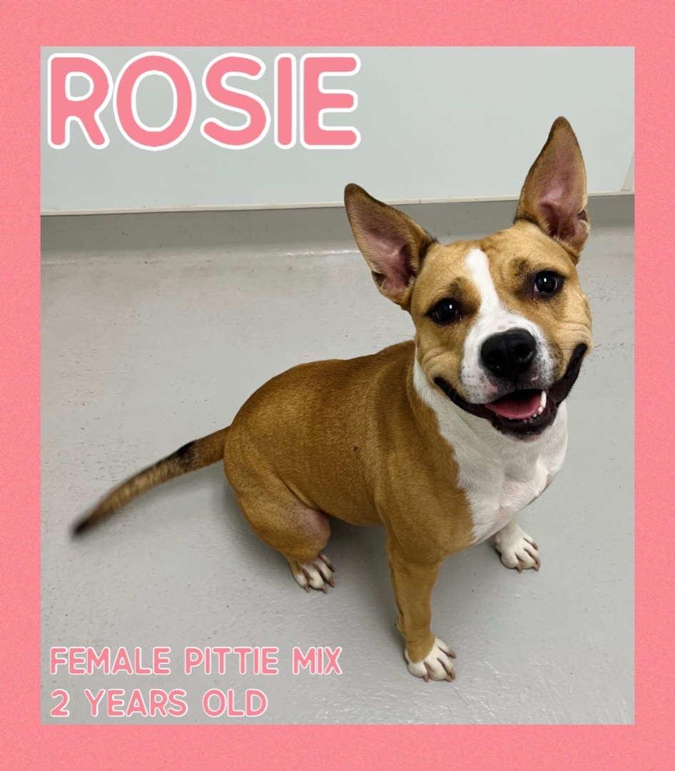 Rosie