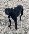 Tootsie photo 2