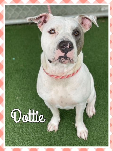 DOTTIE-new pics