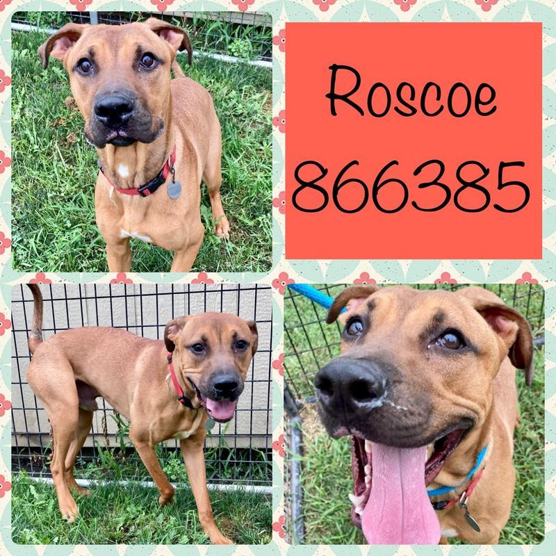 Roscoe