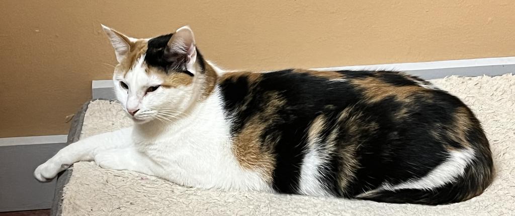 Minnie