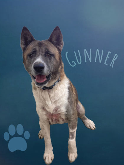 Gunner