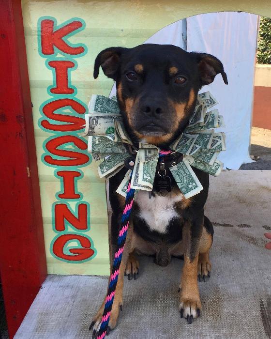 Roscoe 2