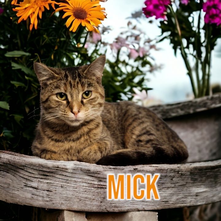 Mick (Fleetwood) 1