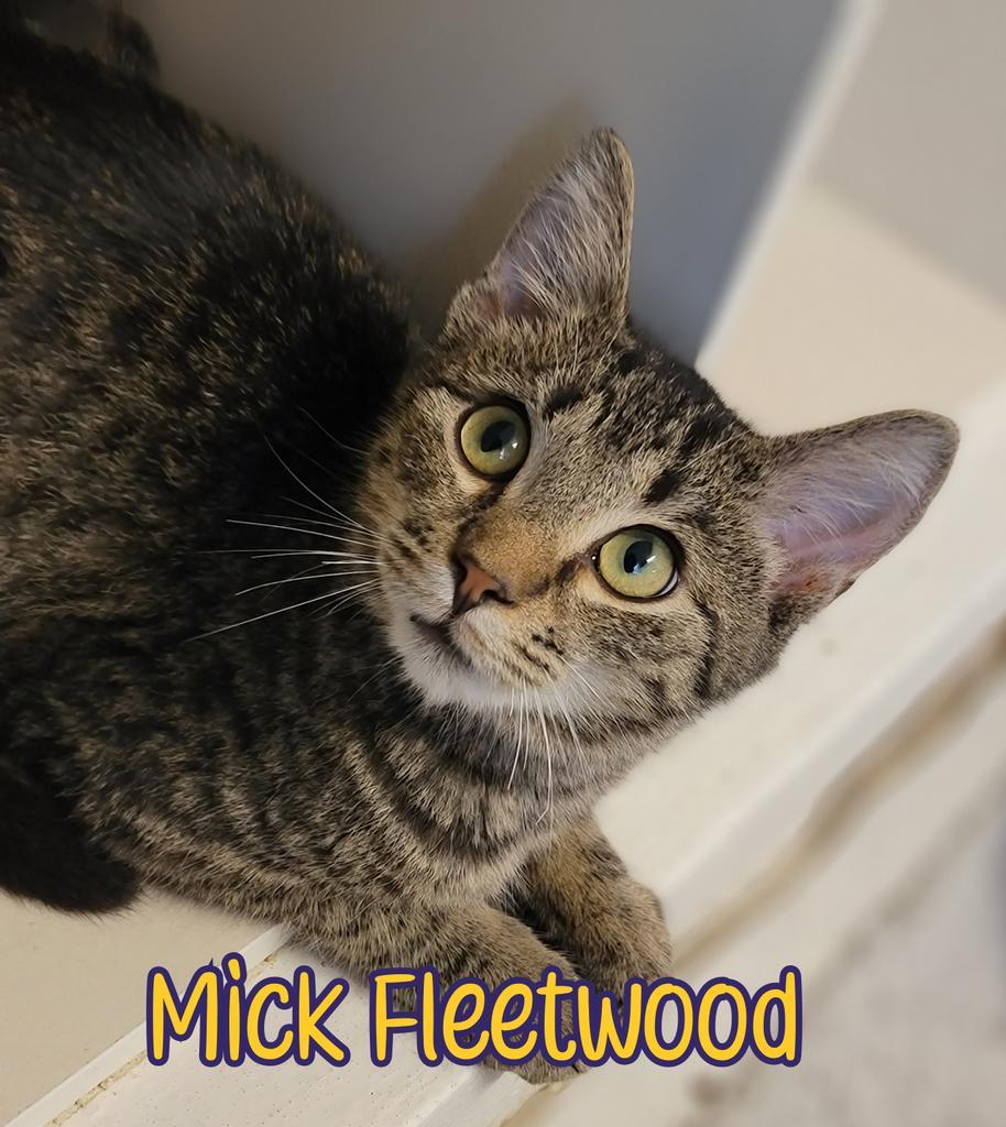 Mick (Fleetwood)