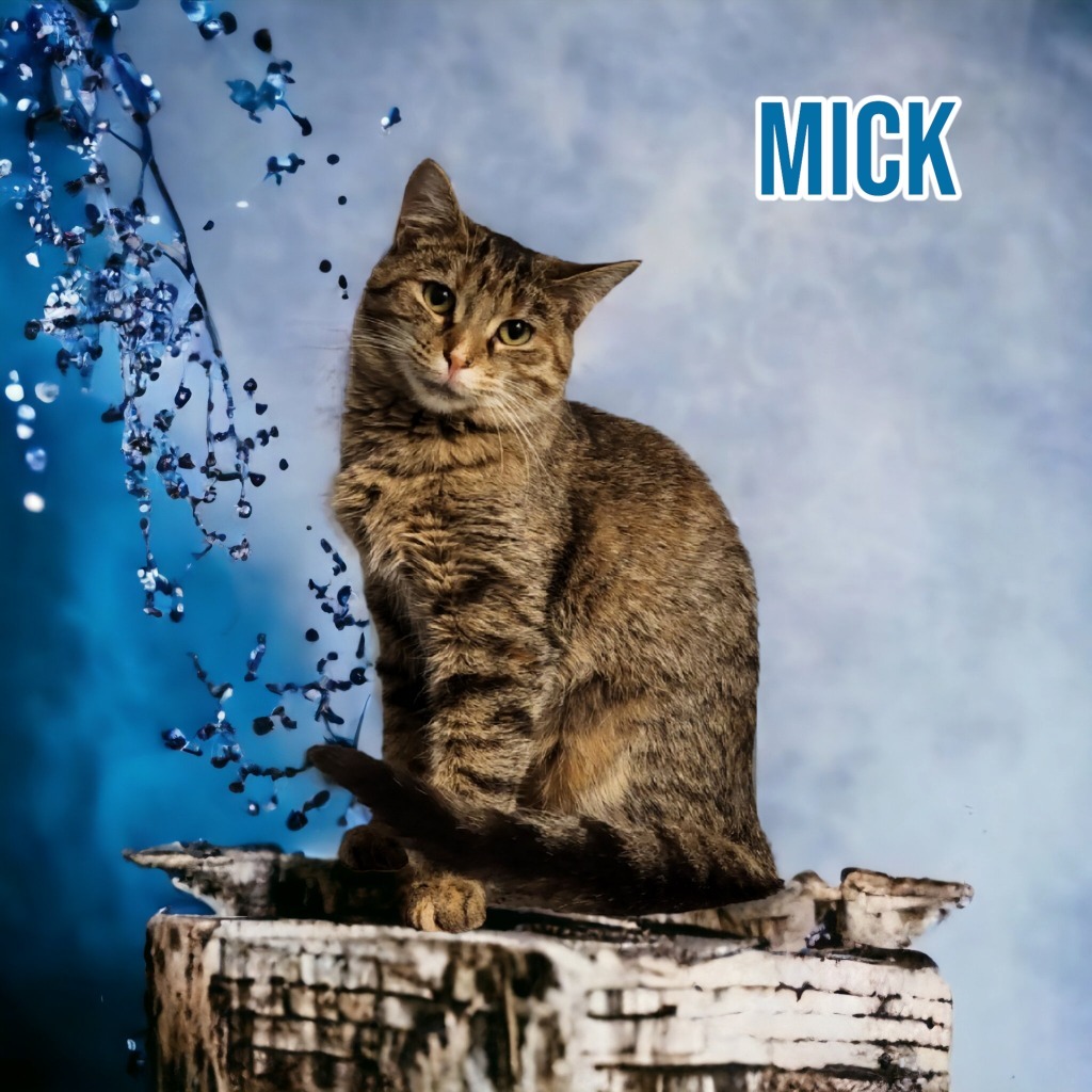 Mick (Fleetwood)