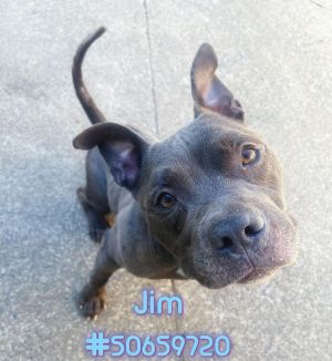 Jim