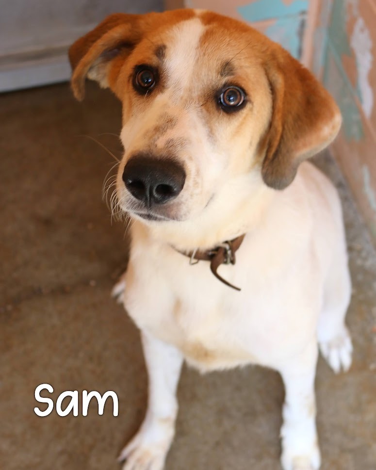 Sam