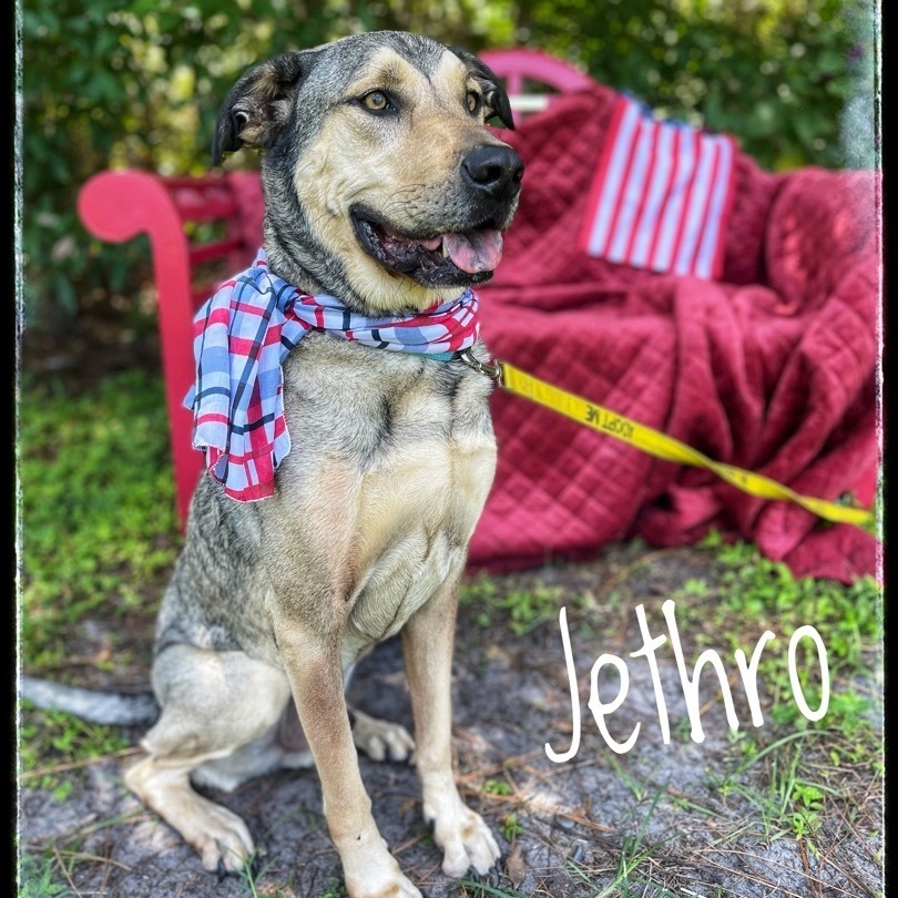 Jethro