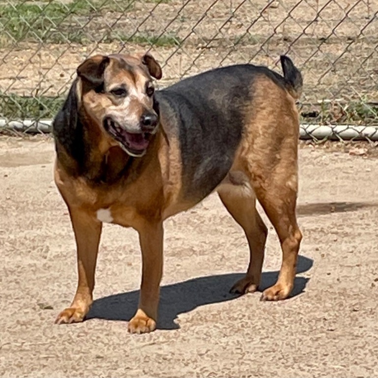 Chloe, bonded with Bear