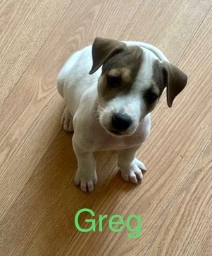 Greg