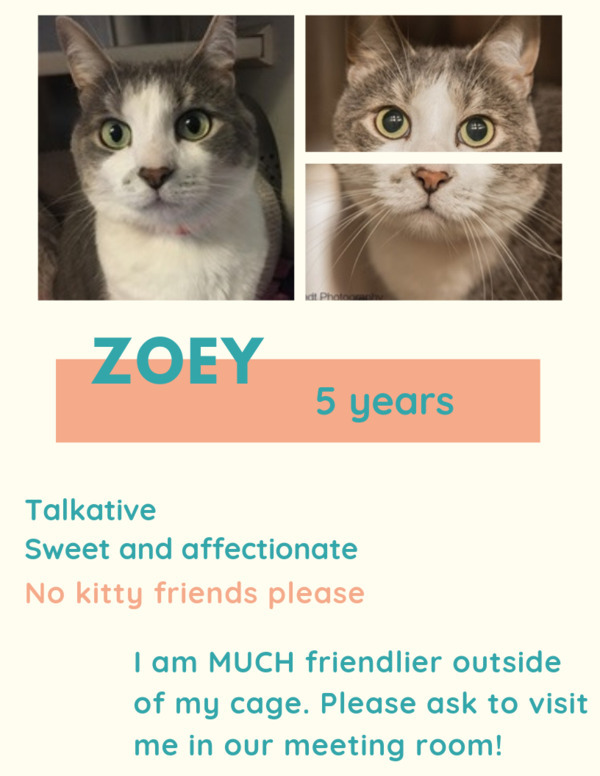 Zoey 4