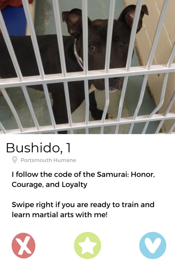 Bushido