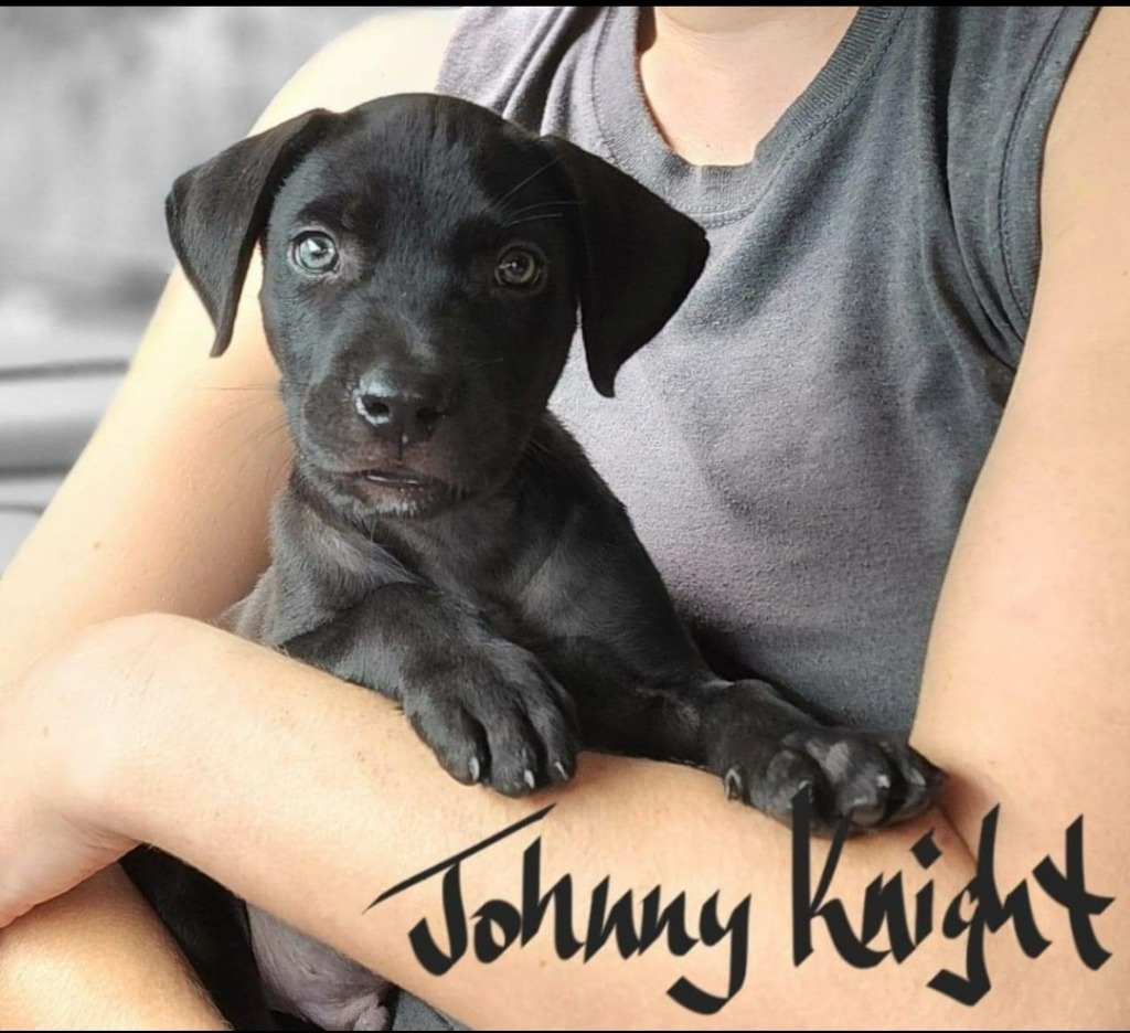 Johnny Knight