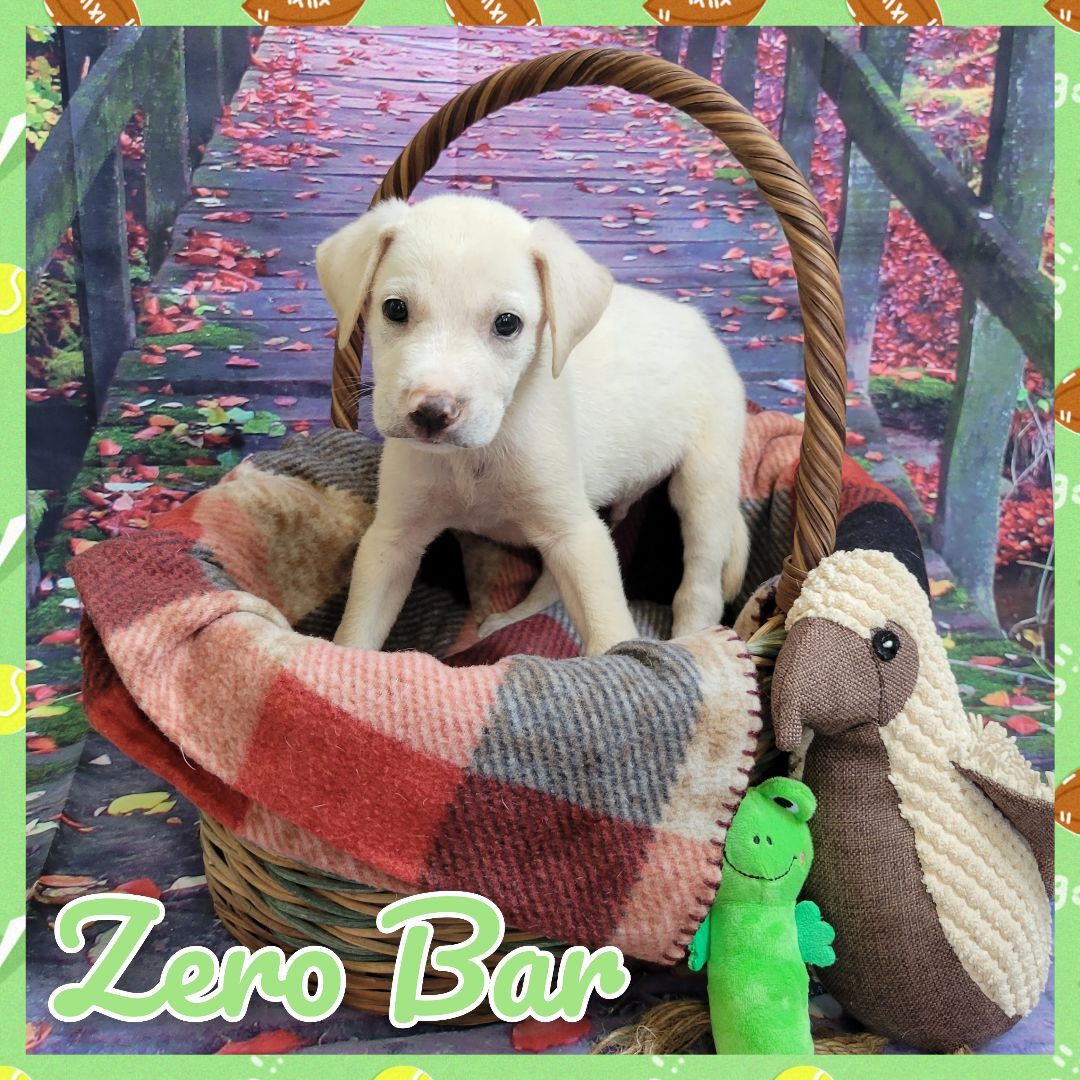 Zero Bar