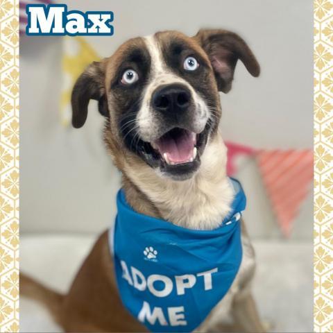 Max