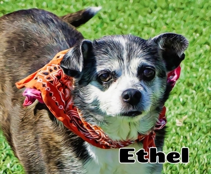 Ethel