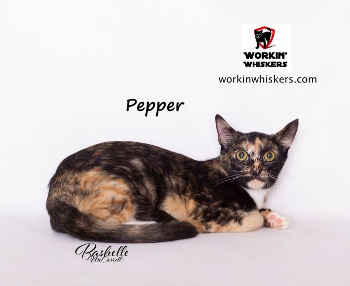 PEPPER 1