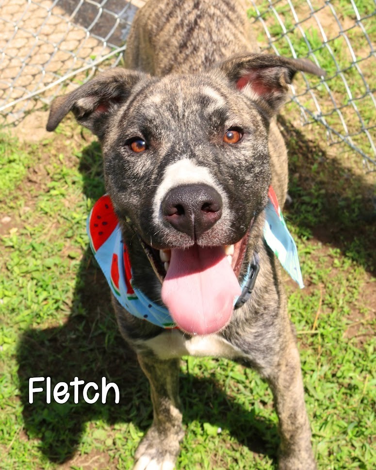 Fletch