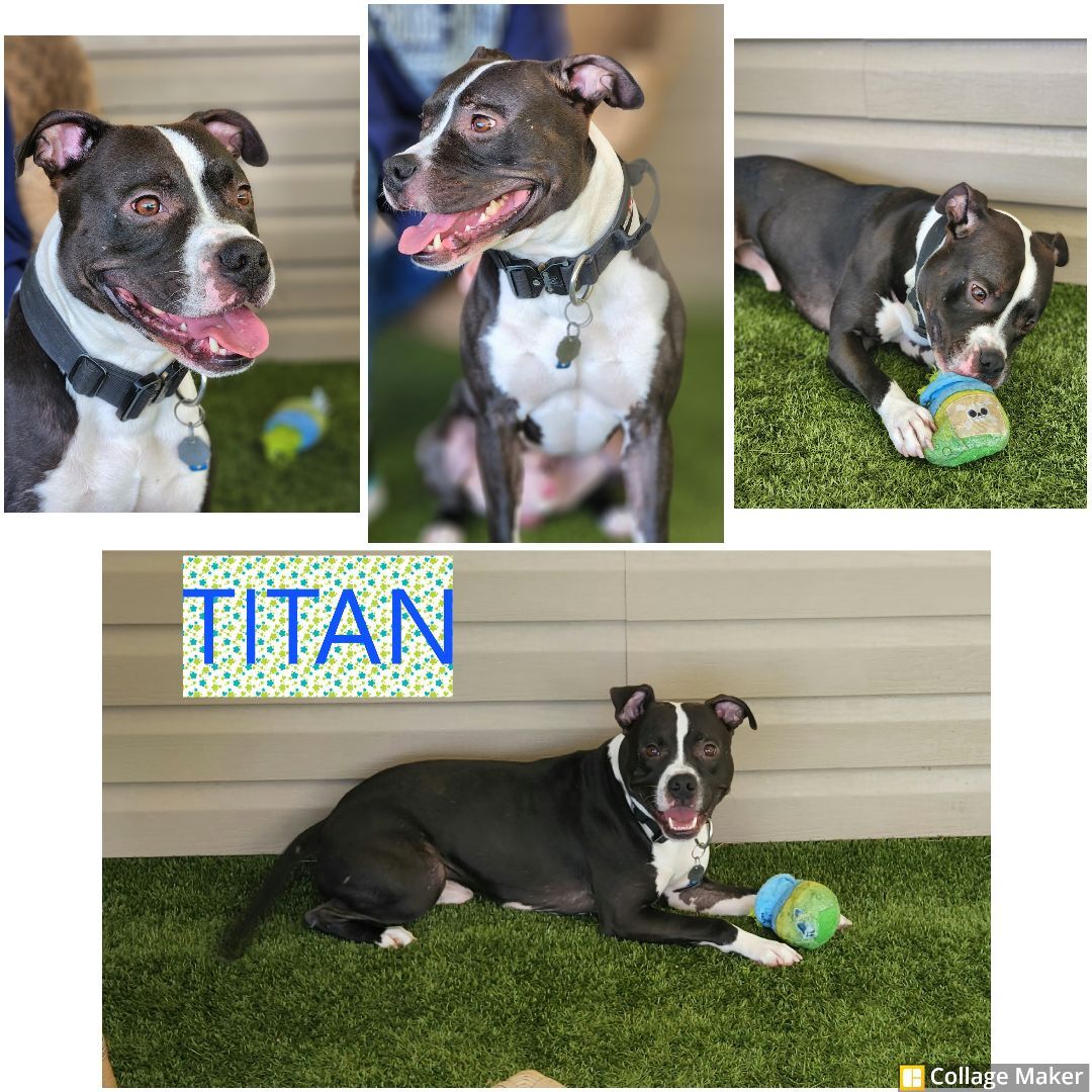 Titan