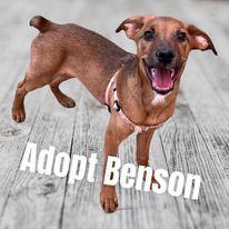 Benson