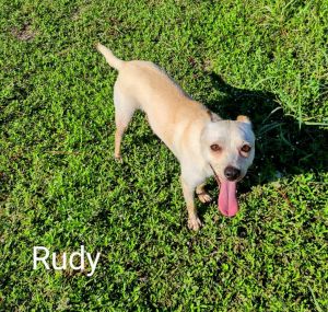 Rudy