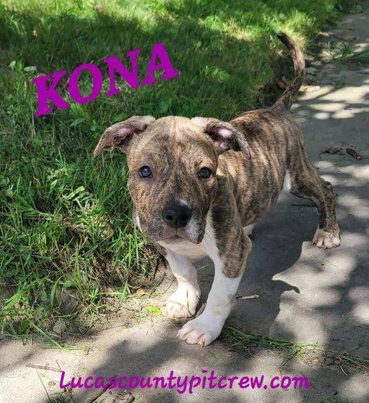 Kona