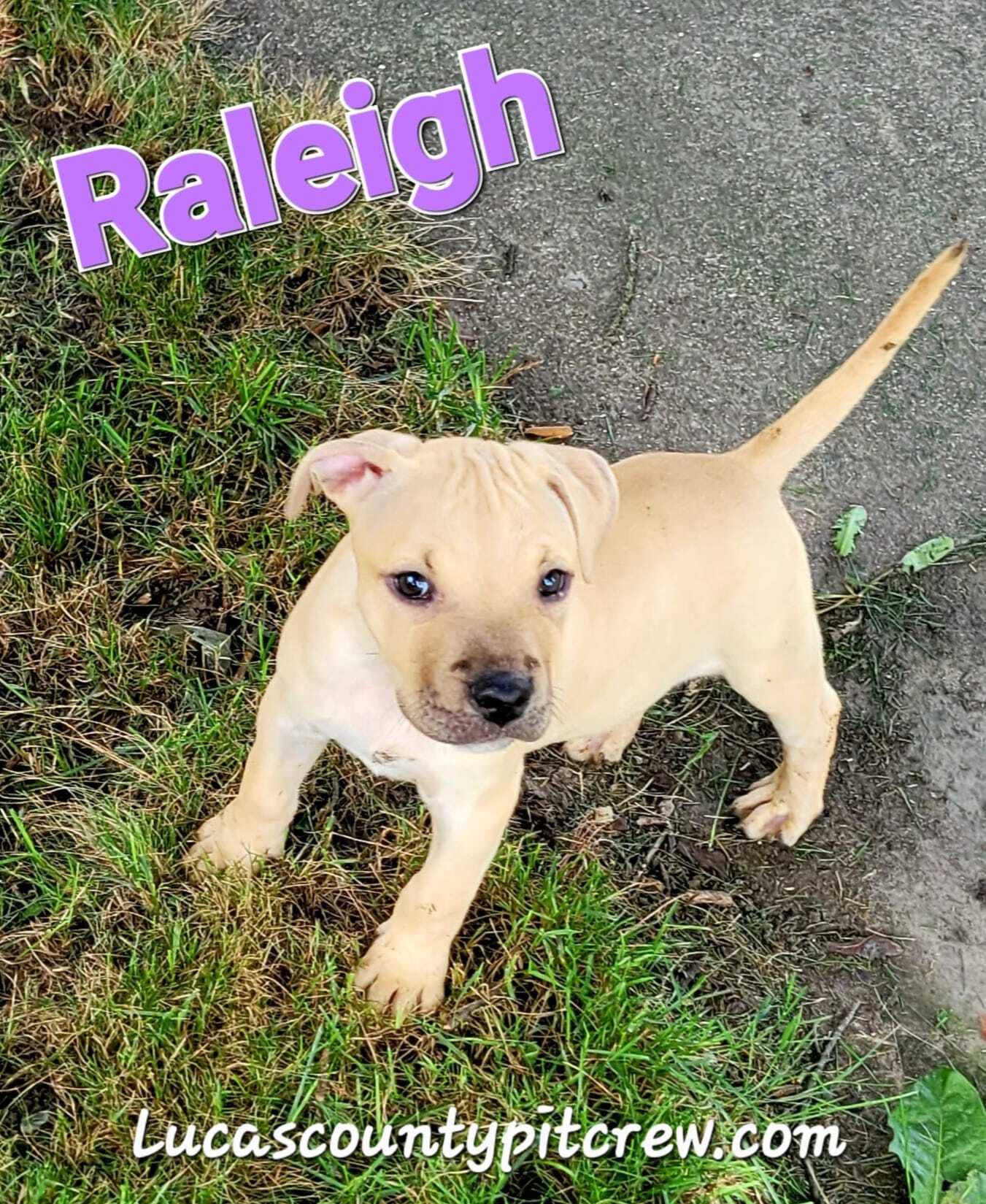 Raleigh