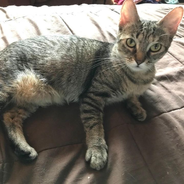 Sabrina 3