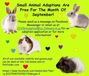 Small Animal Adoptions Are Free For The Month Of September!