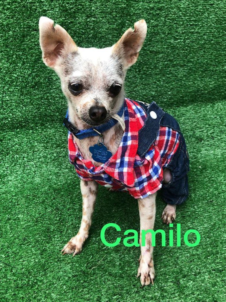 Camilo