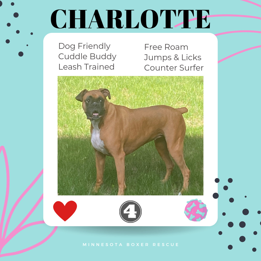 Charlotte *Adoption Pending*