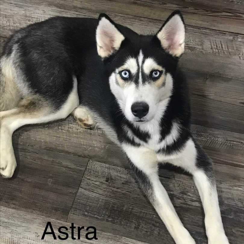 Astra