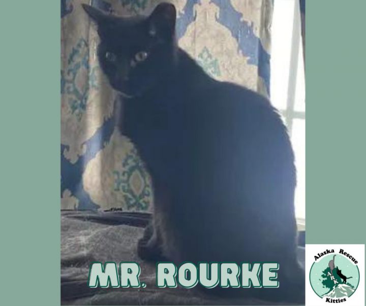 Mr Rourke 1