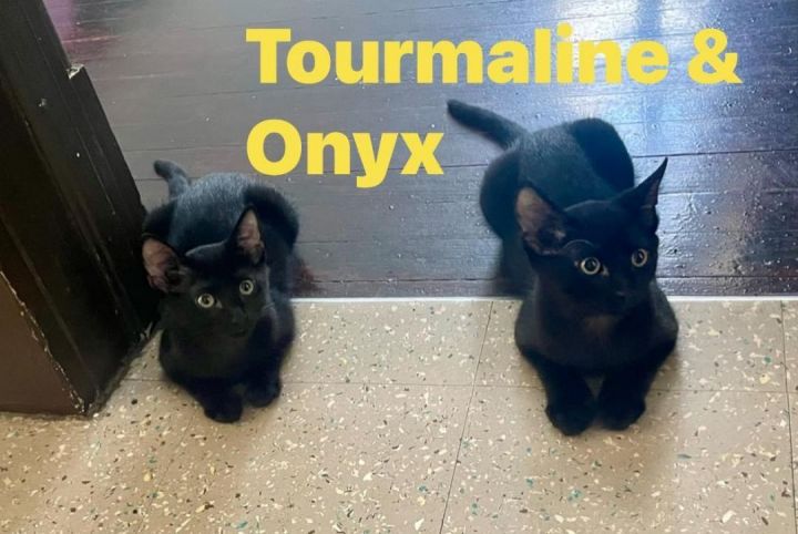 Onyx and Tourmaline (Bonded) 4