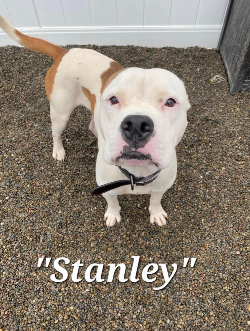 Stanley