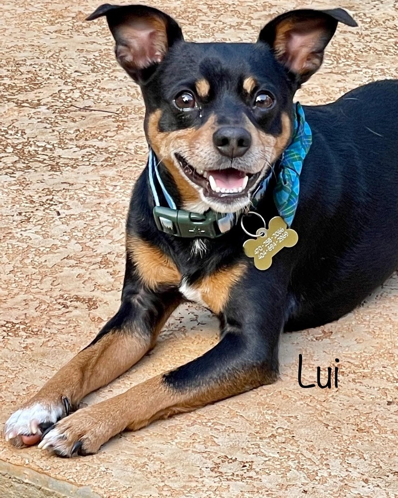 Lui