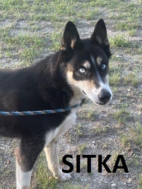 SITKA