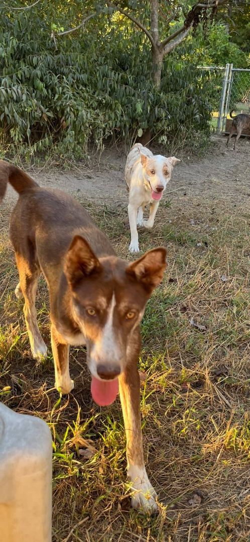 Hazel and Georgia