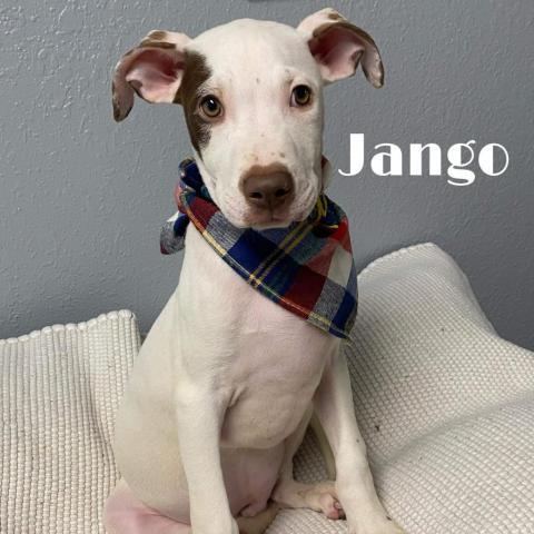 Jango