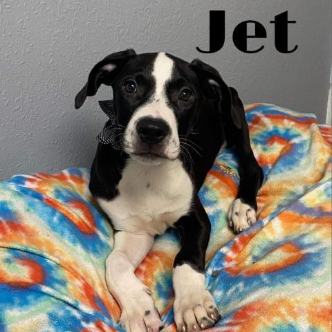 Jet