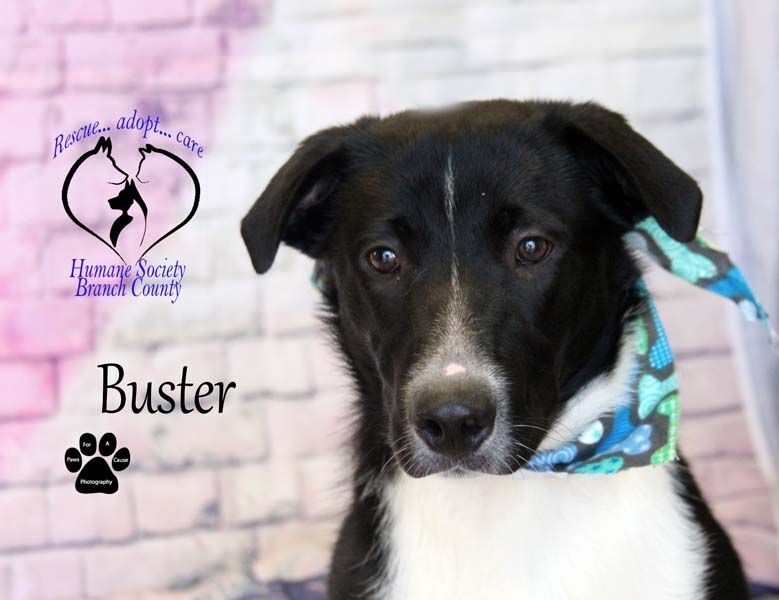 Buster--SEE VIDEO